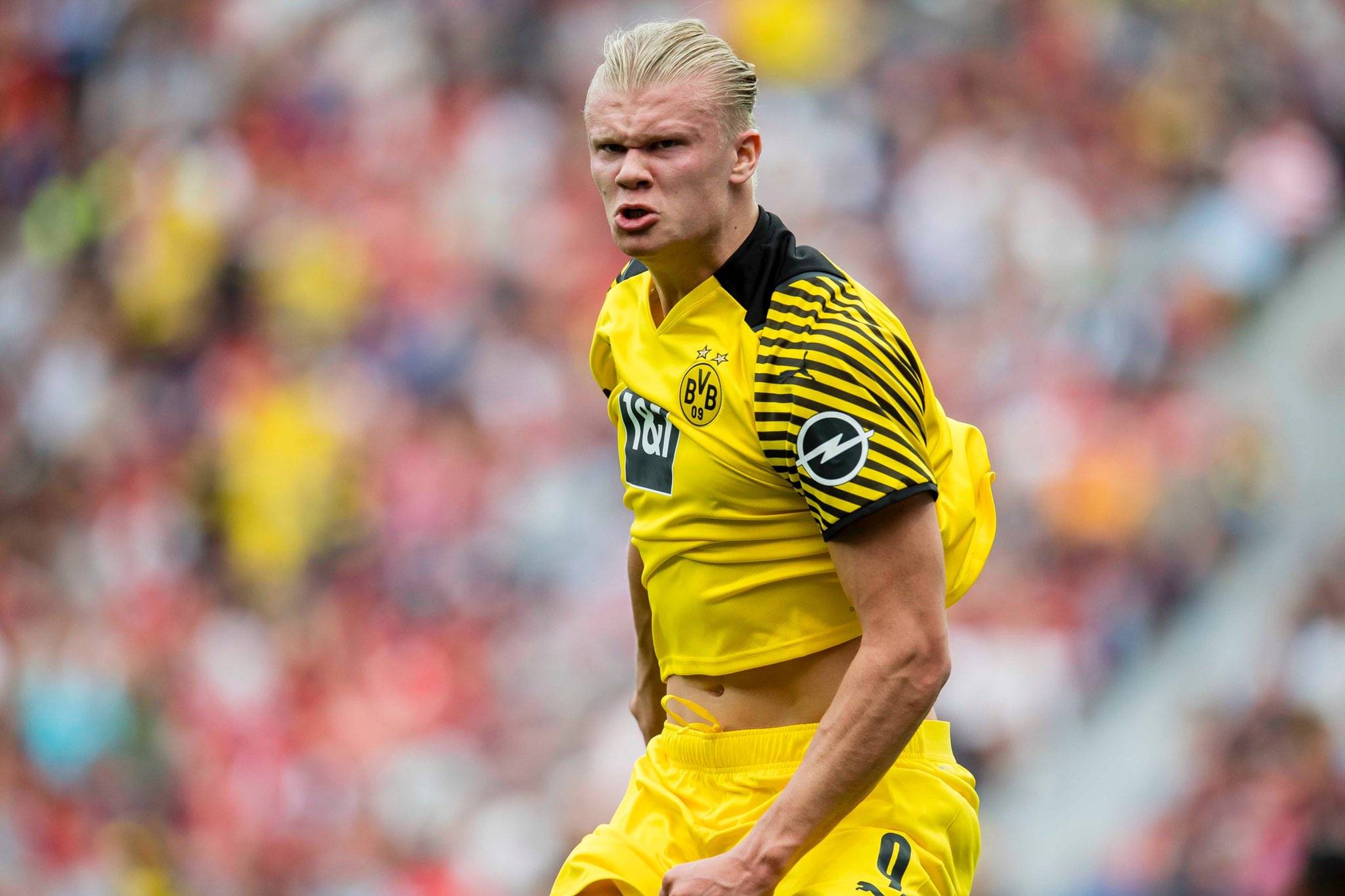 西蒙高茨被国乒当猴遛的有多惨？樊振东一招海底捞月直接击碎道心（西蒙高茨被国乒压制得多惨？樊振东一记海底捞月当场击碎道心）